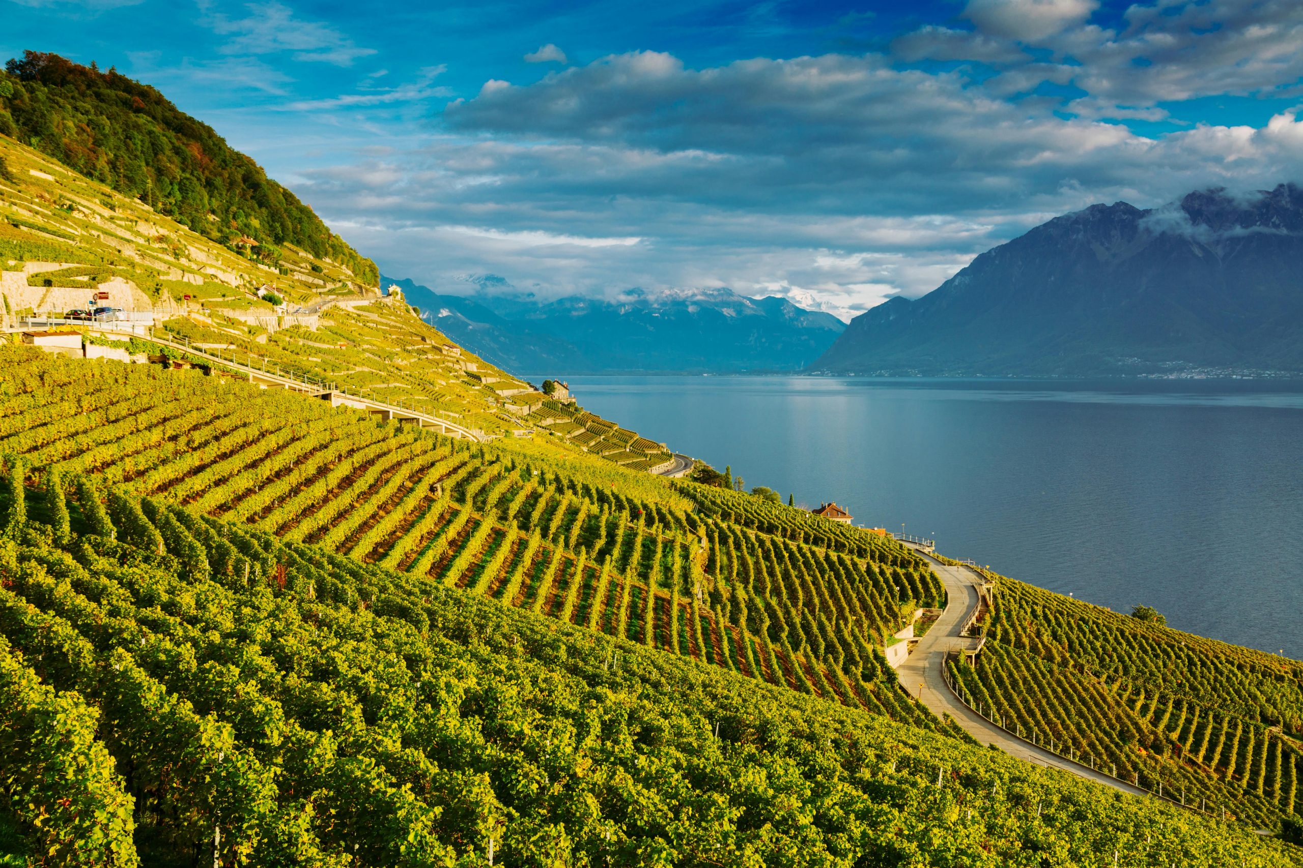 Switzerland luxury road trip private chauffeur through Lavaux UNESCO vineyard terraces Lake Geneva Lavaux UNESCO Vineyards Private Chauffeur Switzerland