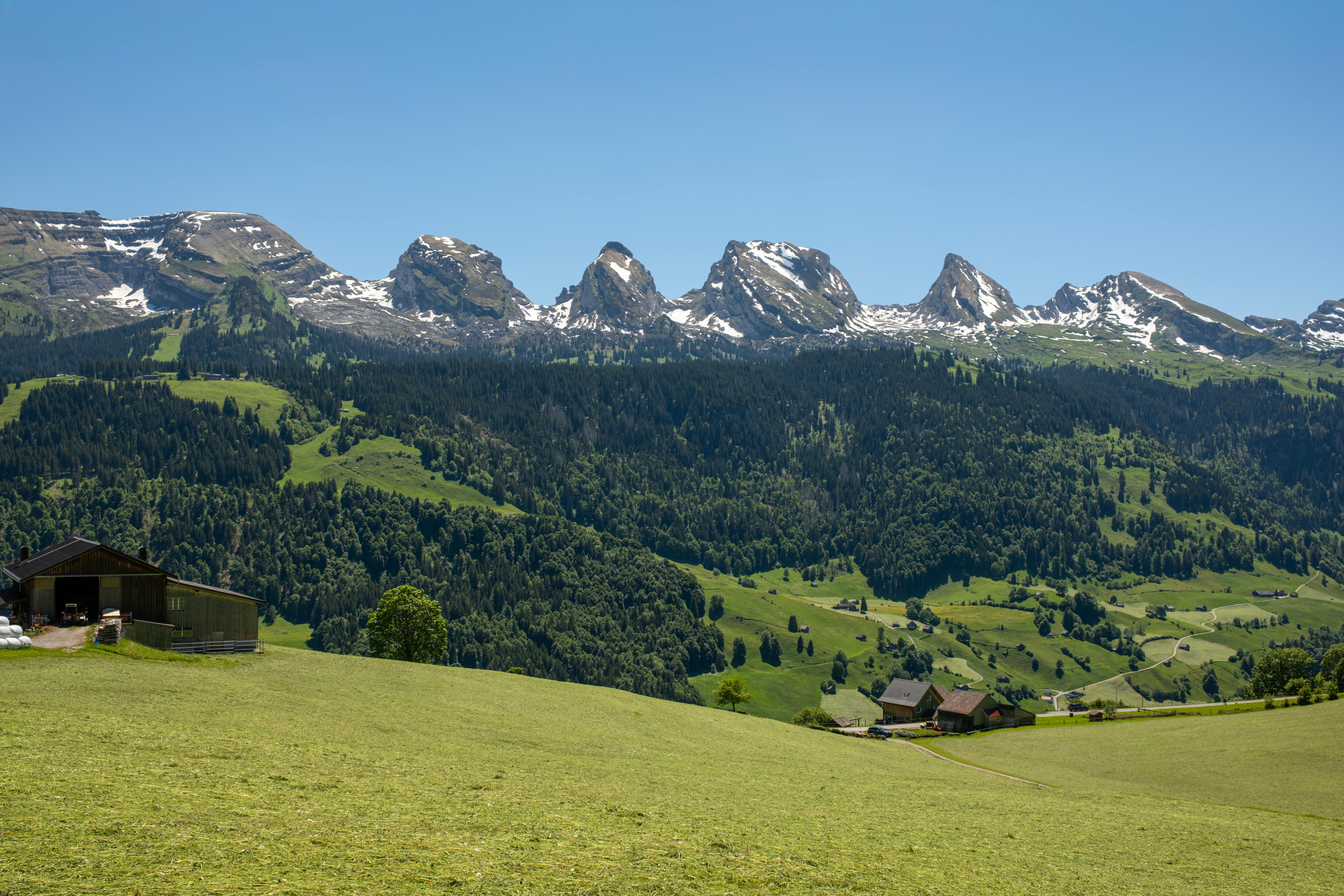 private chauffeur Switzerland private chauffeur Switzerland