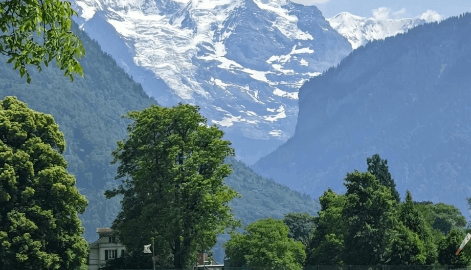 Hohematte Park — Heart of Interlaken Hohematte Park — Heart of Interlaken